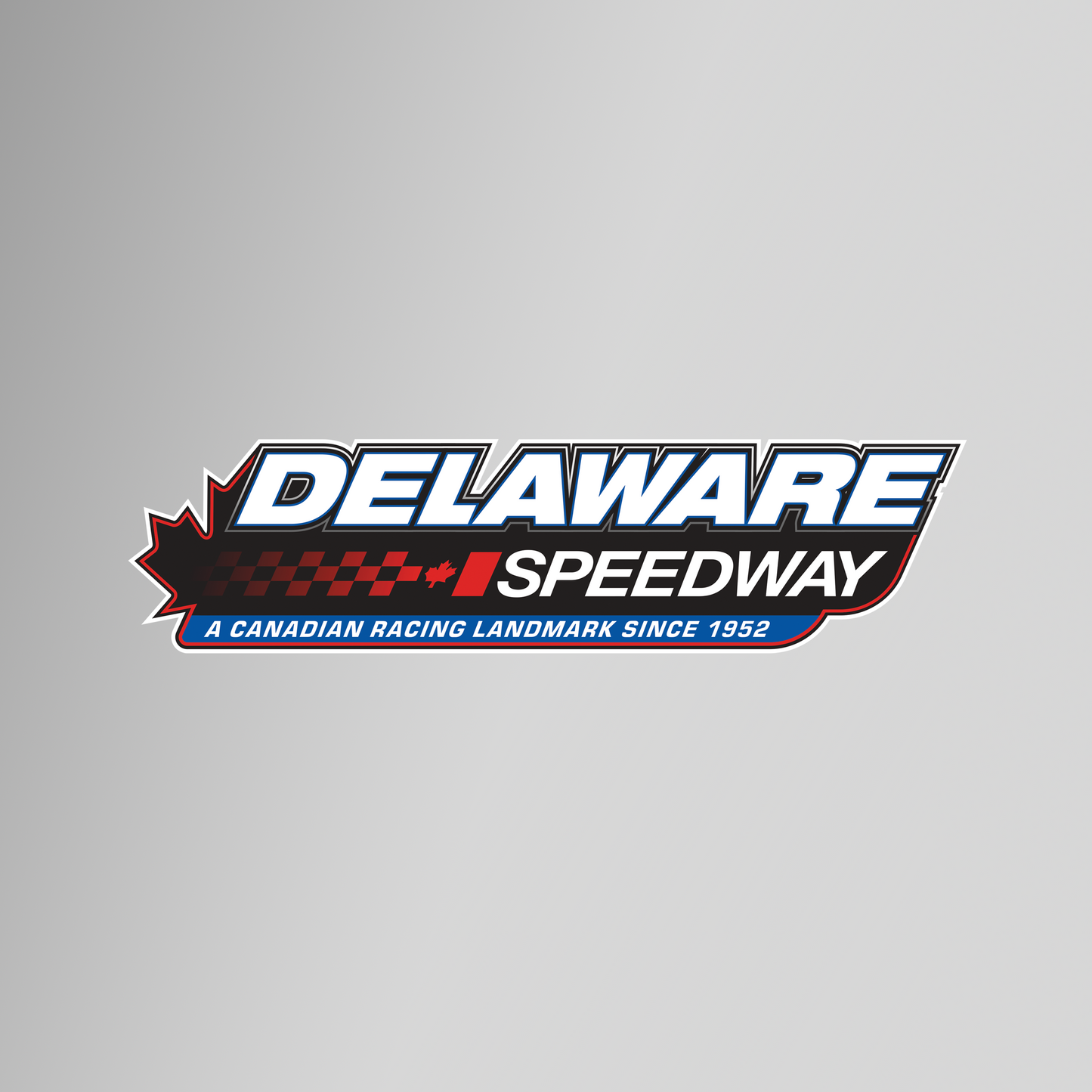 Delaware Decal - Logo 8"