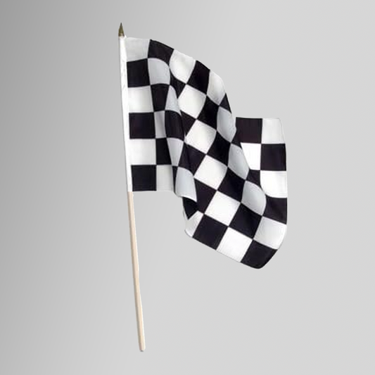 Delaware Checker Flag - 12x18
