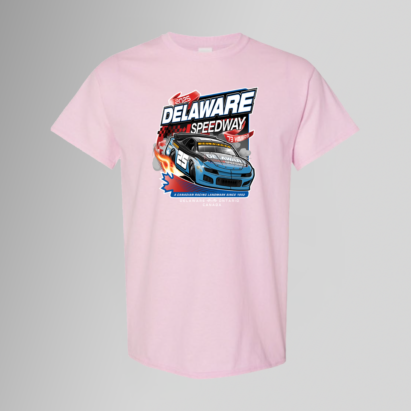 Delaware T-Shirt 2025 Toddler/Youth - Multiple Colours